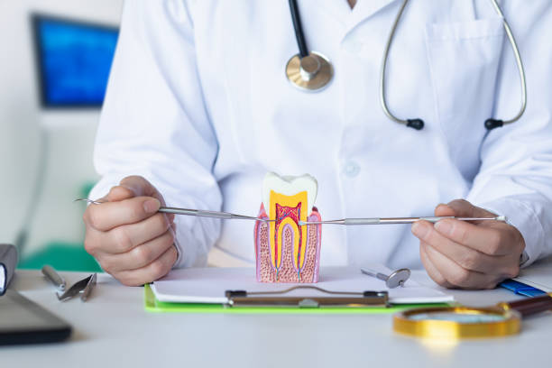 Best 24-Hour Emergency Dentist  in Fayetteville, NC